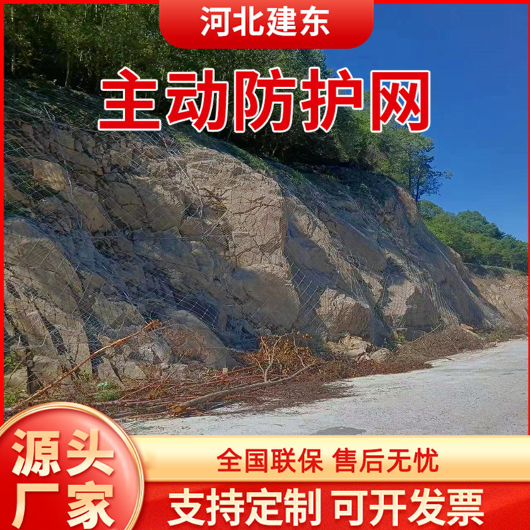 Active Protection Net, Soil-Fixing Slope Protection Steel Rope Net, Road Road Mountain Falling Stone Anti-Fall Net, Diamond-Shaped Grille Net