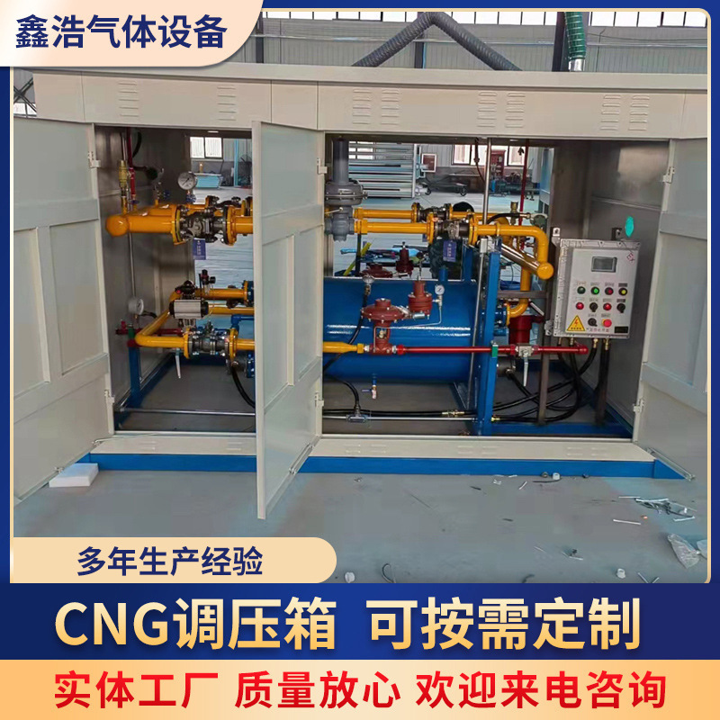 Day Gas Gas Equipment Manufacturers Cng Gas Regulator Box Cng Regulator Box Cng Pressure Reducing Pry Pressure Regulator Cabinet