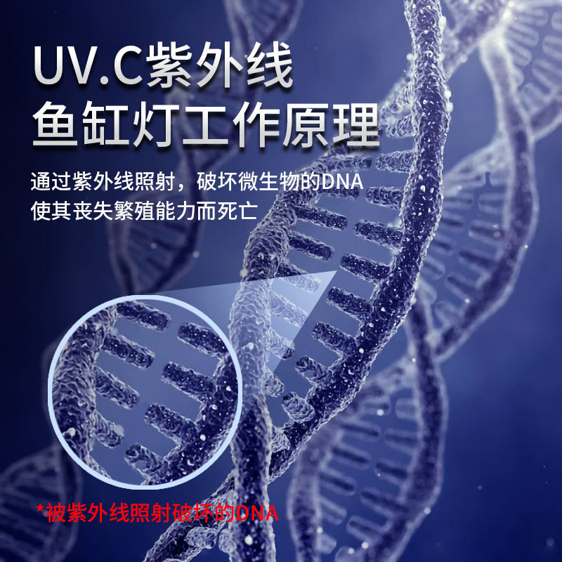 Uv Ultraviolet Fish Pond Germicidal Lamp Landscape Lamp Timed U-Shaped Double-Tube Fish Tank Lamp Aquarium Fish Tank Lamp Led Diving Lamp