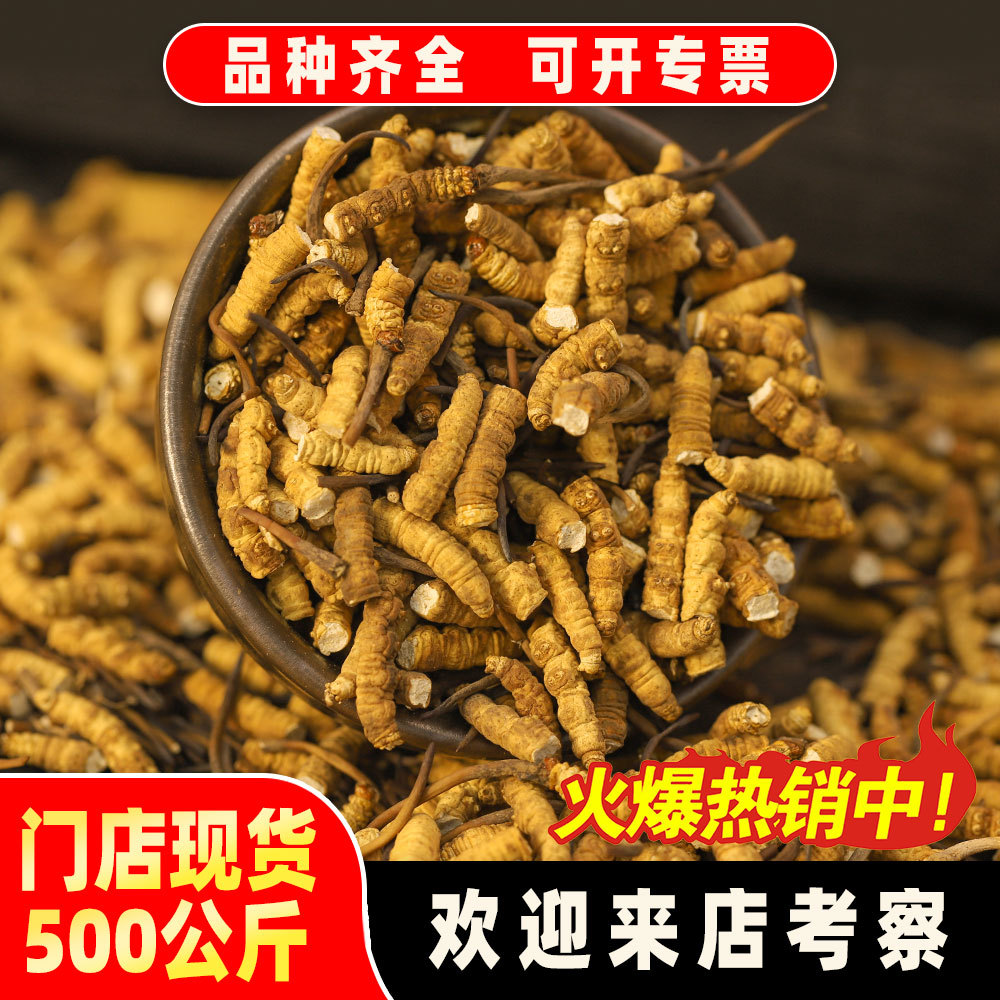 Грибы кордицепса Xizang Girl, замороженные сухие продукты, кордицепс, 1 упаковка