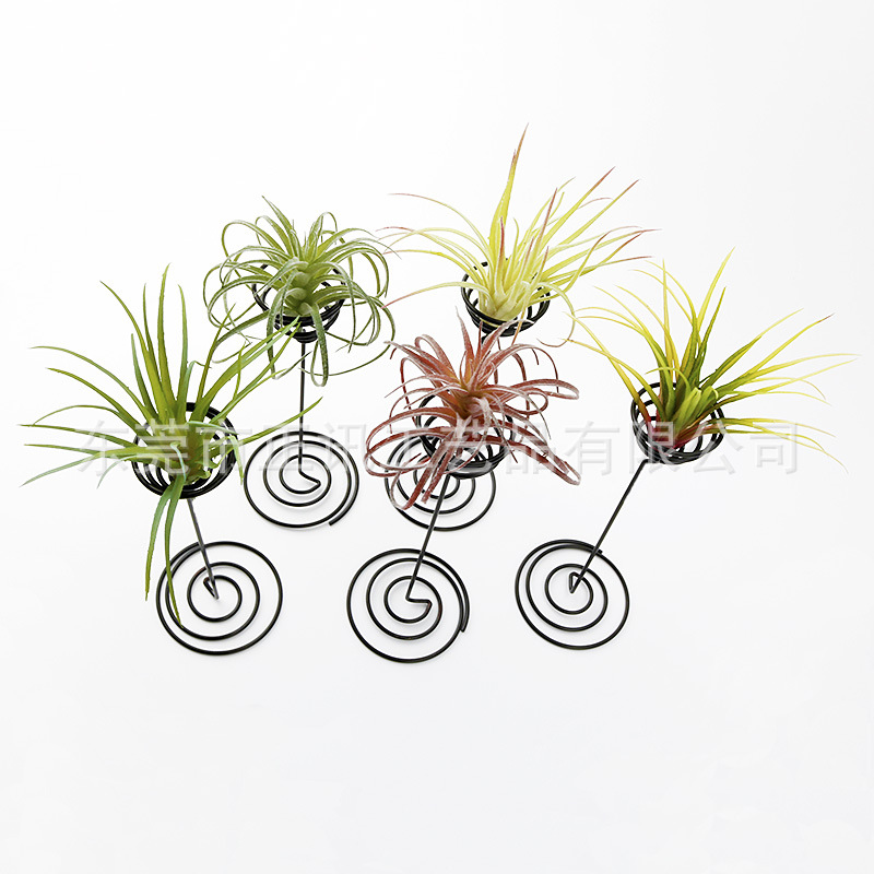 Air Pineapple Plant Cement Flower Pot Creative Stand Flower Stand Accessories Base Desktop Small Flower Pot Beauty Egg Style