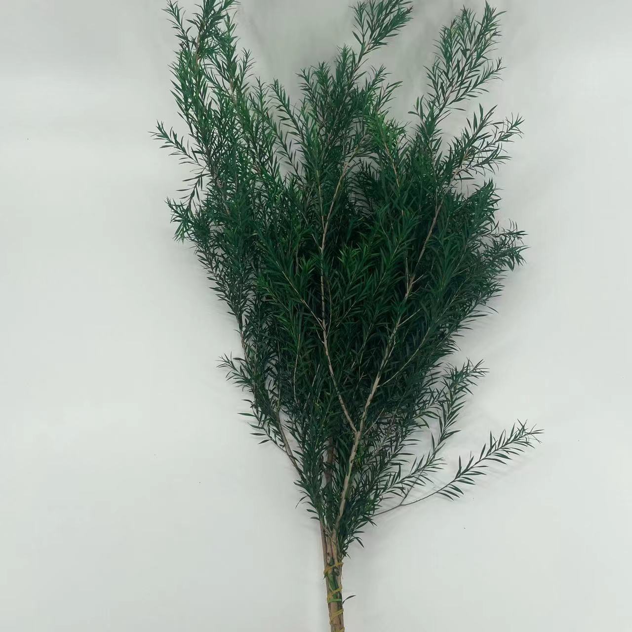 Preserved Mille Layer Gold Flowers, Preserved Flowers and Leaves, Mille Layer Gold Bouquets with Materials, Flower Arrangements and Decorations, Yunnan Factory Wholesale