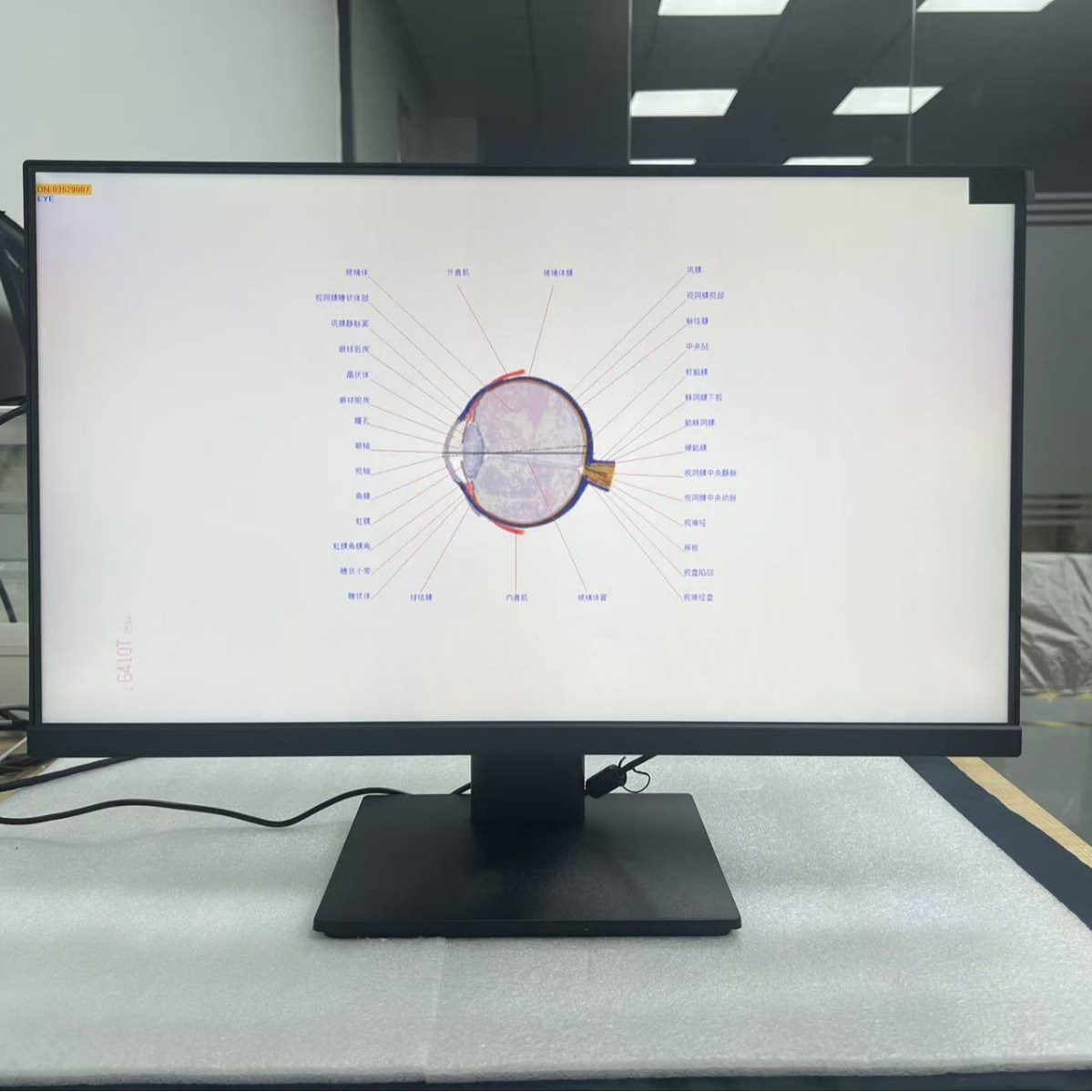 23.8inch Vision Chart Intelligent Remote Control Large Screen Micro Frame 3-Year Warranty