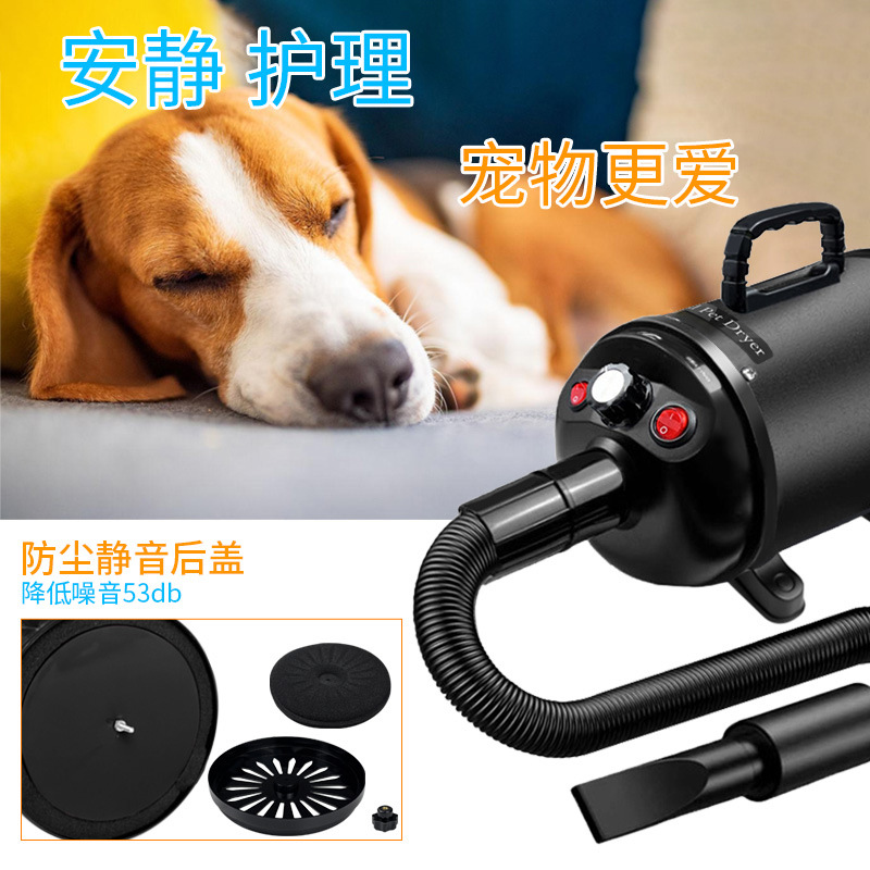 Cross-Border High-Power Pet Hair Dryer Water Blower Dryer Car Wash Quick Blowing Pet Dog