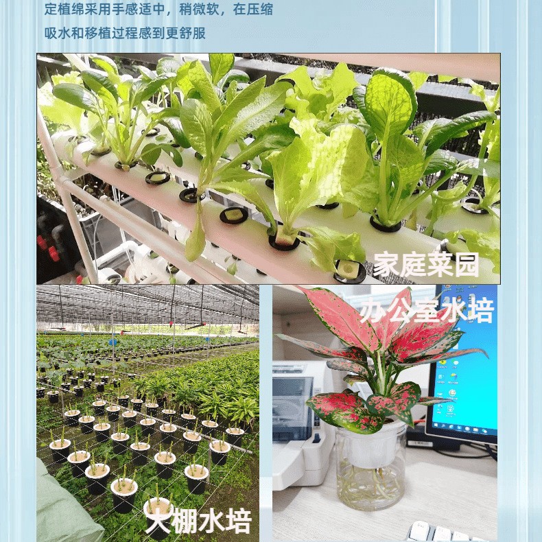 32 # Hydroponic Vegetable Soilless Cultivation Equipment Green Plant Seedling Planting Cotton One-Word Mouth Planting Sponge Wholesale