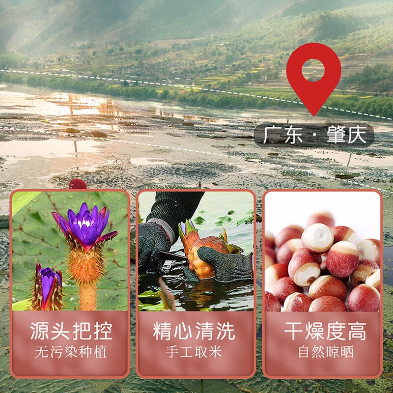 Fudonghai Gorgon Rice 200g Large Capsules Chicken Head Rice Chicken Head Fruit Red Skin Gorgon Kernel Whole Grains Porridge and Soup