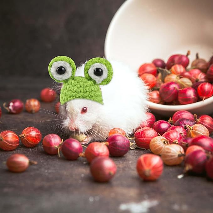 4-Piece Set of Frog, Rabbit, Carrot Pagoda Knitted Hamster Hat, Hand-Knitted Winter Pet Hat