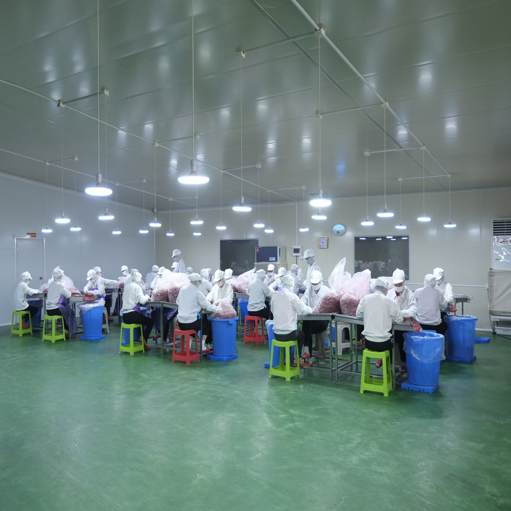 E Food Square 60g Bagged Thai Golden Pillow Durian Dried Manufacturer Whole Box Wholesale Internet Celebrity Snacks Freeze-Dried Dried Fruit