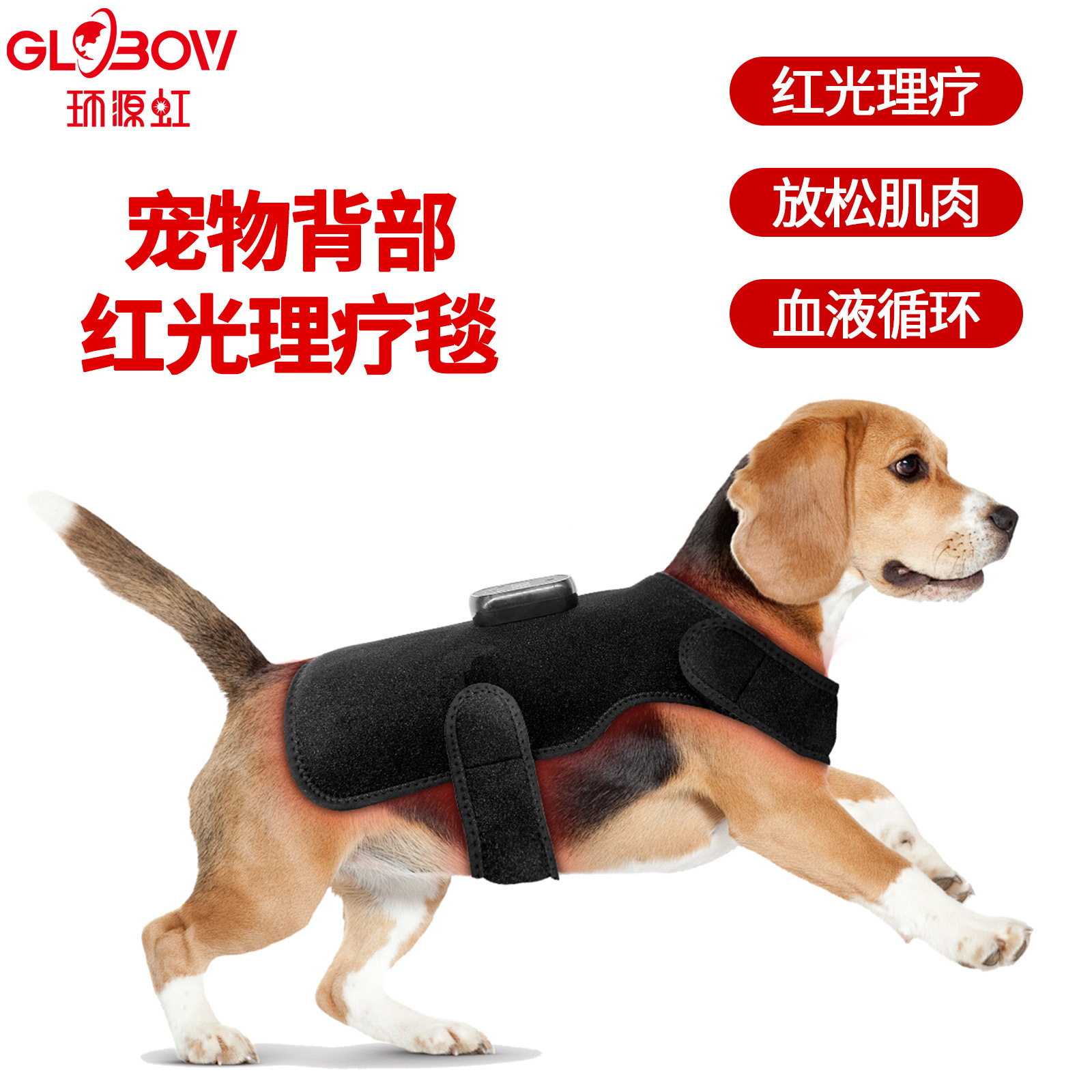Прибор для физиотерапии домашних животных с красным светом, портативный, для лечения травм и переломов у кошек и собак