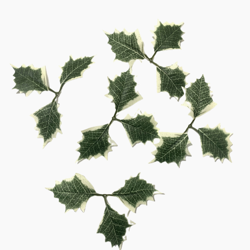 Simulated Christmas Leaves with White Edges Harry Leaves Christmas Decoration Green Leaves Factory Supply Available in Stock