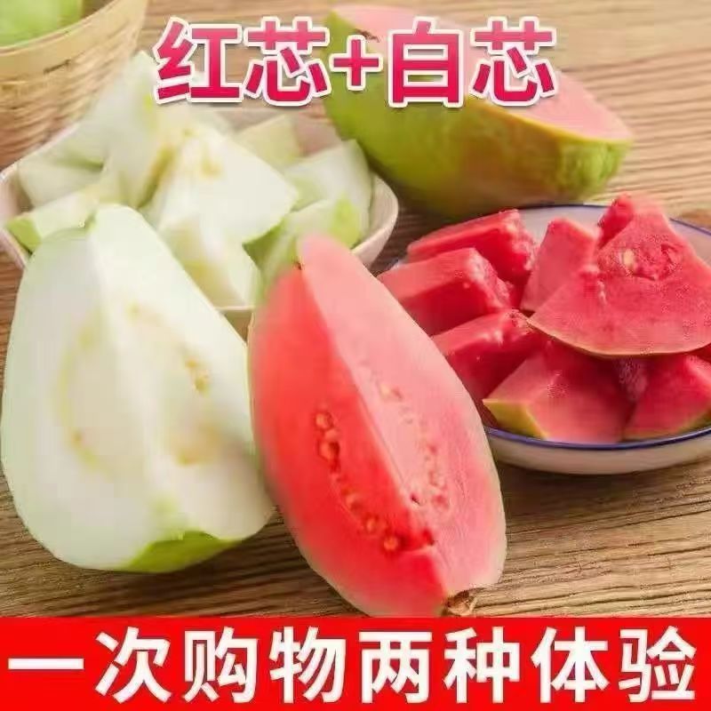 Guangxi Soft and Sticky Red and White Heart Guava Mix 2.5kg Fresh Fruit Guava Crispy Sweet Soft Sticky Rouge Guava