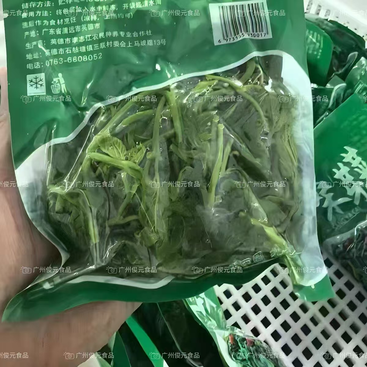 Mulberry Sprouts, Tender Mulberry Leaves, Quick-Frozen Mulberry Leaf Sprouts 250g*60 Packs/Piece, Commercial Ingredients for Soup Tender Mulberry Sprouts