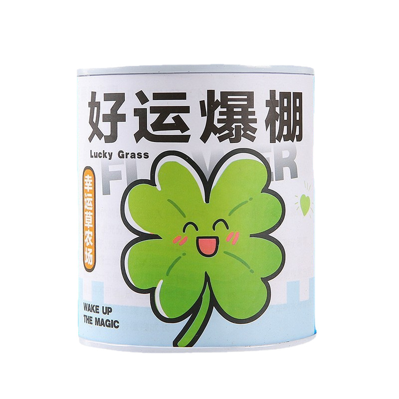 Children's Planting Cans, Plant Blind Box, Desktop Potted Mint Florals, Indoor Green Plants, Good for Feeding Seeds