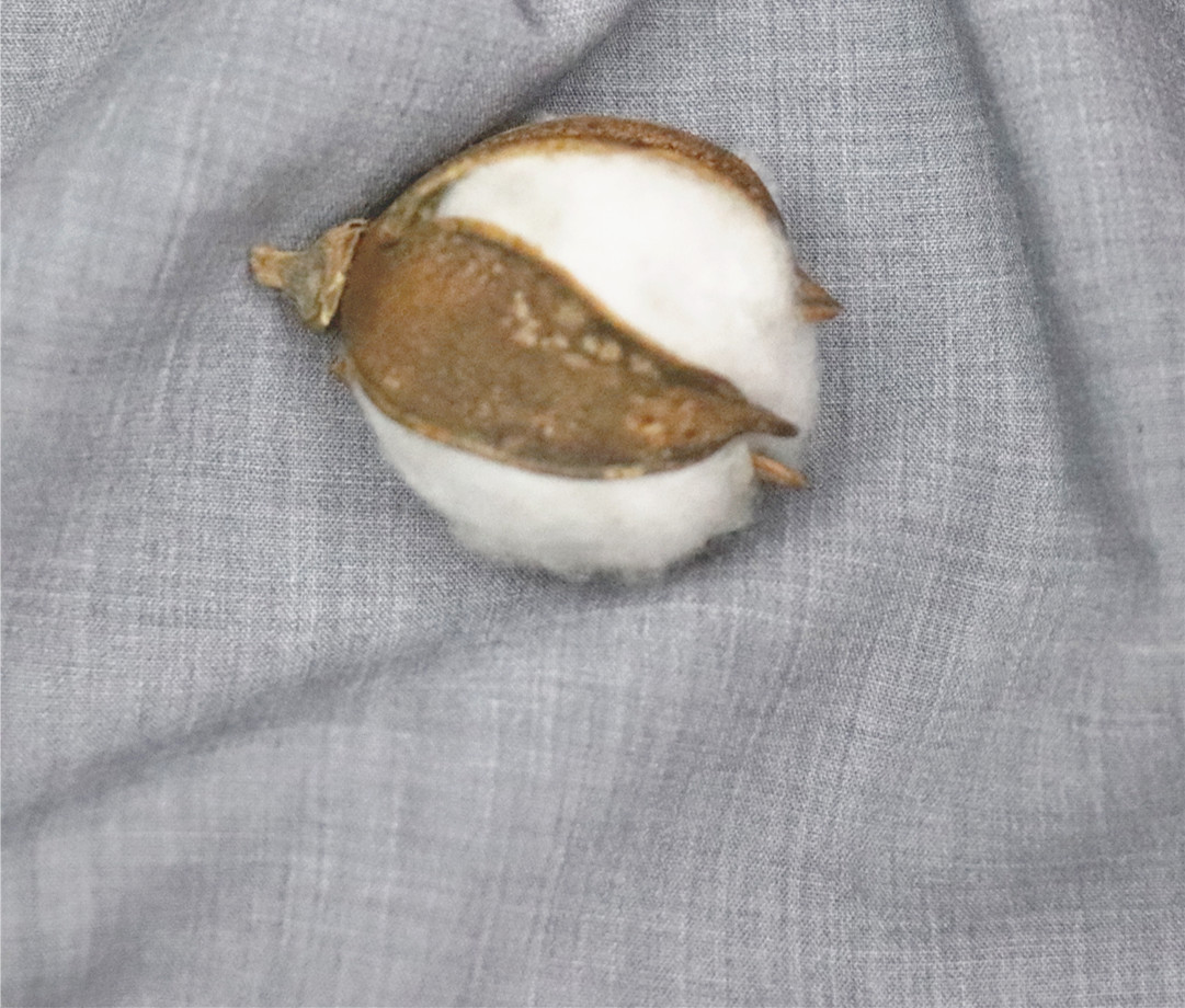 2025 New Spring and Summer Shirt Fabric 220g Dress Fabric Tr Beiji Fashion Stretch Fabric Manufacturer Wholesale