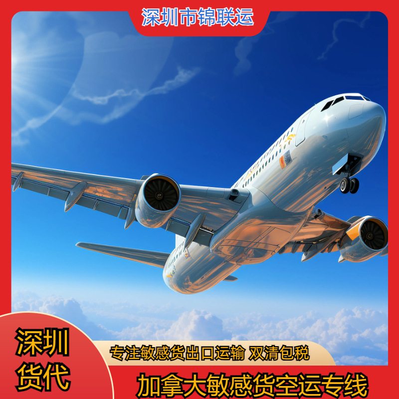 International Logistics Air Express Line Can Export and Transport Handmade Product Bags to Italy with Double Clearance and Tax Included