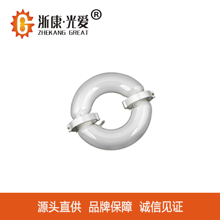 Directly Supplied from the Source Zhejiang Kangguang Love Low-Frequency Stepless Lamp 150W200W300W Ring Rectangular Light Source Lamp Ballast