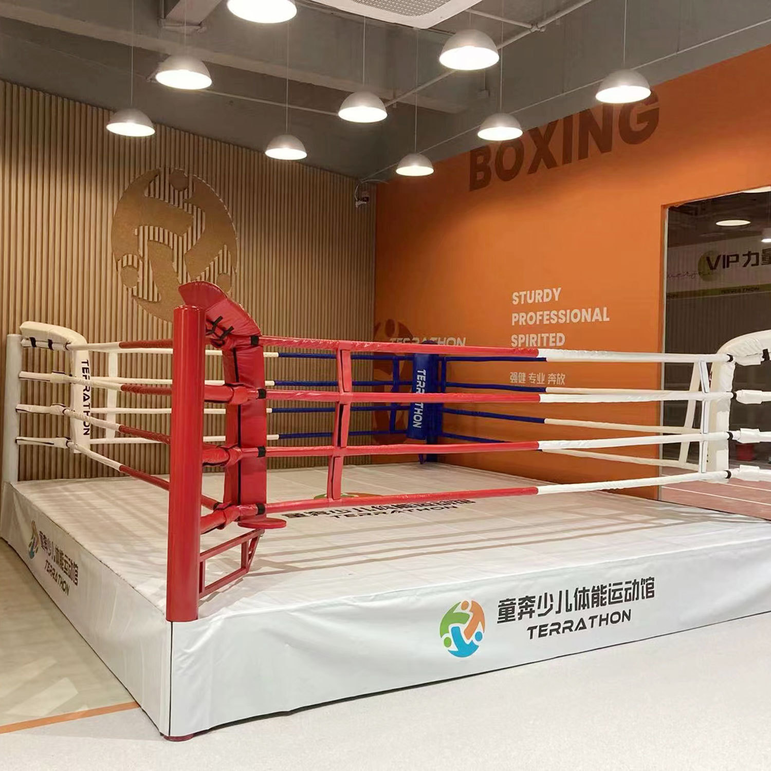 Customized Boxing Ring Fighting Cage Boxing Ring Sanda Boxing Ring Floor-Standing Boxing Ring for Fighting Competitions