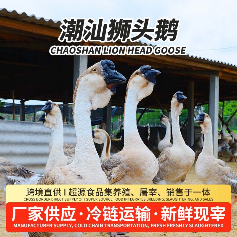 Гусь с головой льва из Чаошаня