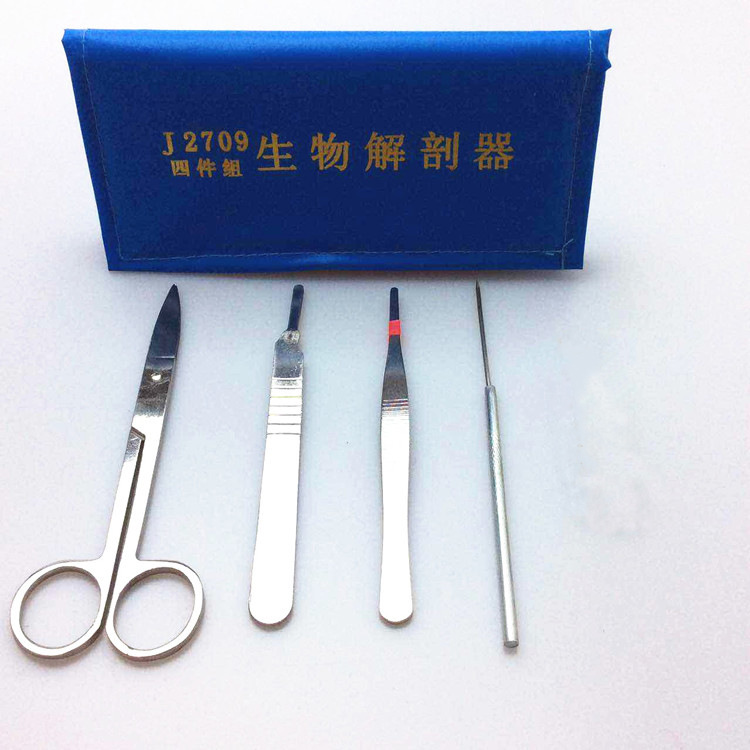 Набор анатомии из четырех частей 4 предмета анатомические инструменты для изготовления образцов животных