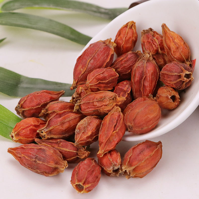 Factory Direct Sales of Gardenia, a Medicinal and Edible Plant, New Gardenia Herbal Medicine Wholesale and Retail, Large Quantity Discounts