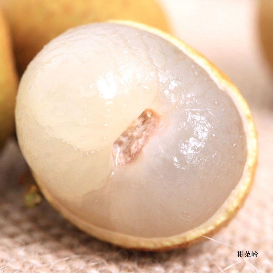 Fresh Medium to Large Longan Fruit, Whole Box with Free Shipping, Freshly Picked Thai Longan, Seasonal Fresh Fruit for Pregnant Women, 2 Linglong