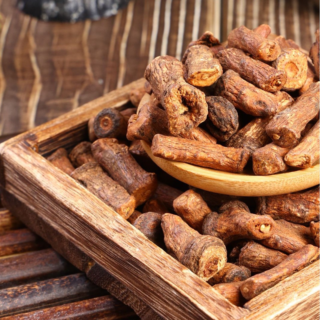 Dandelion Root Dandelion Root Tea Northeast Specialty Wild Canned Soaked Dandelion Root Tea Substitute Tea