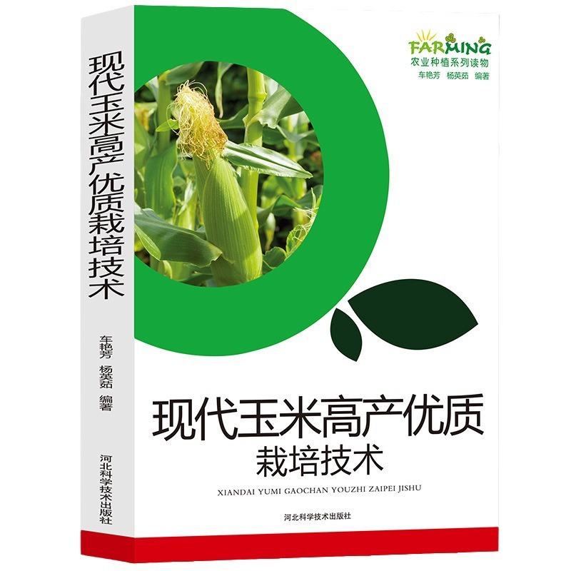 Modern Maize High Yield and Good Quality Cultivation Technology Agricultural Planting Series Reading Production Overview Selection of Improved Varieties