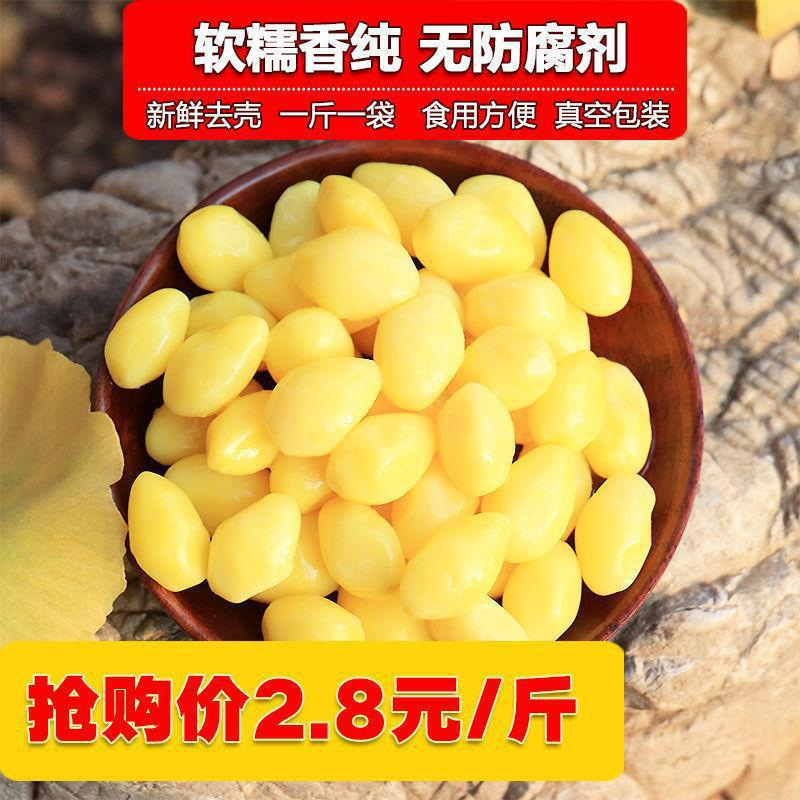 2.5kg New Fresh Vacuum-Packed Ginkgo Nuts 500g Preserved Ginkgo Biloba Shelled Cooked White Nuts