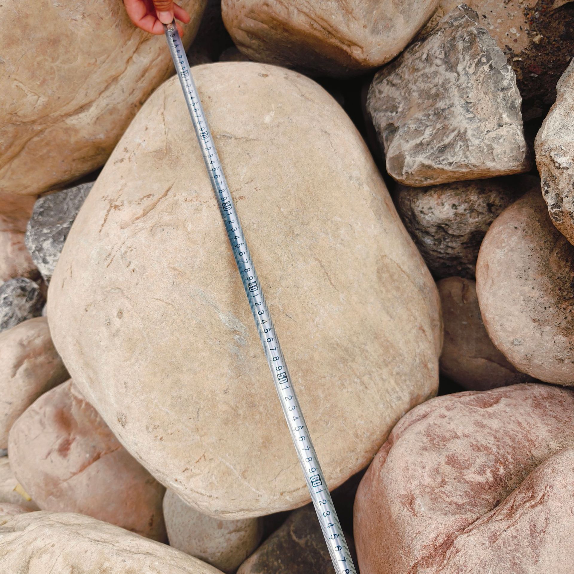 Place of Origin Straight hair Natural large pebbles Pebbles for river slope protection Large pebbles for substation in stock