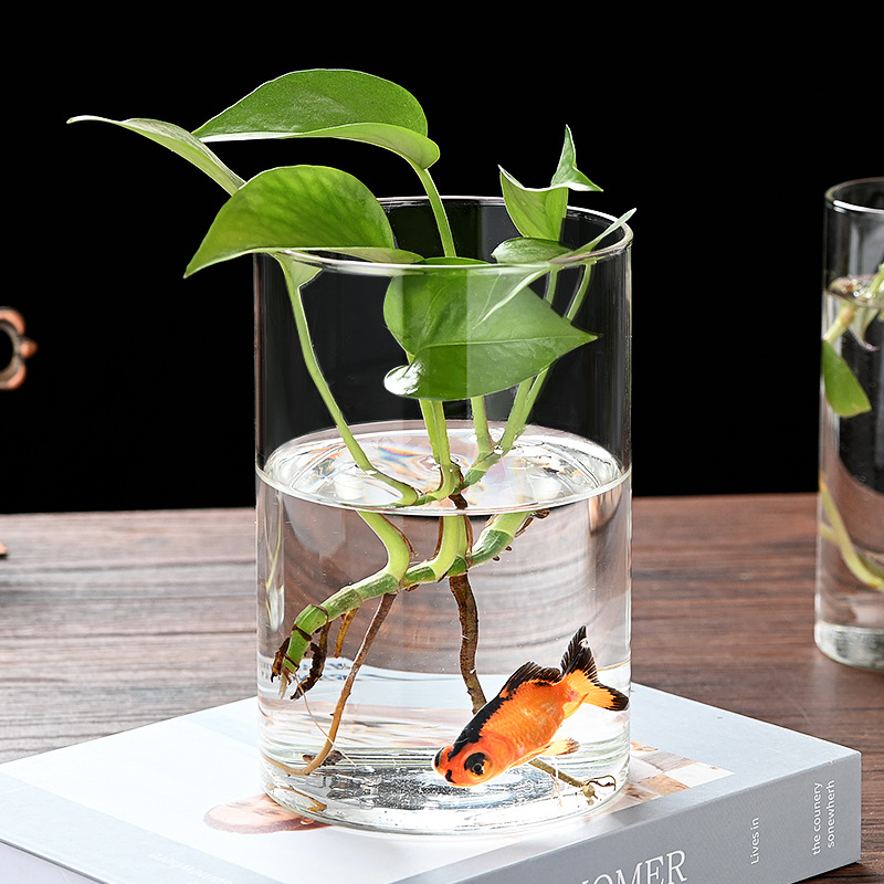 Ecological Bottle High Borosilicate Glass Vase Flower Arrangement Hydroponic Vessel Micro Landscape Flower Pot Aquarium Betta Fish Tank Ornament Candle Holder