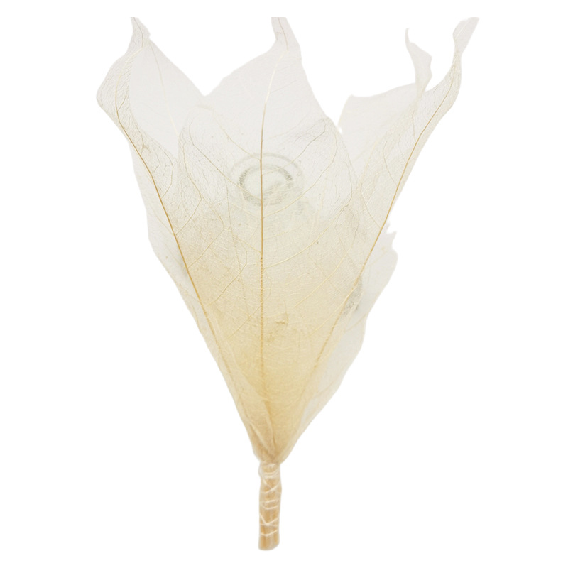 Direct Sale from the Manufacturer: Aromatherapy Leaf Vein Flower Diffuser Sticks, Dried Flower Fragrance Essential Oil Diffuser, Long-Lasting Scent, Deodorizer for Indoor Use