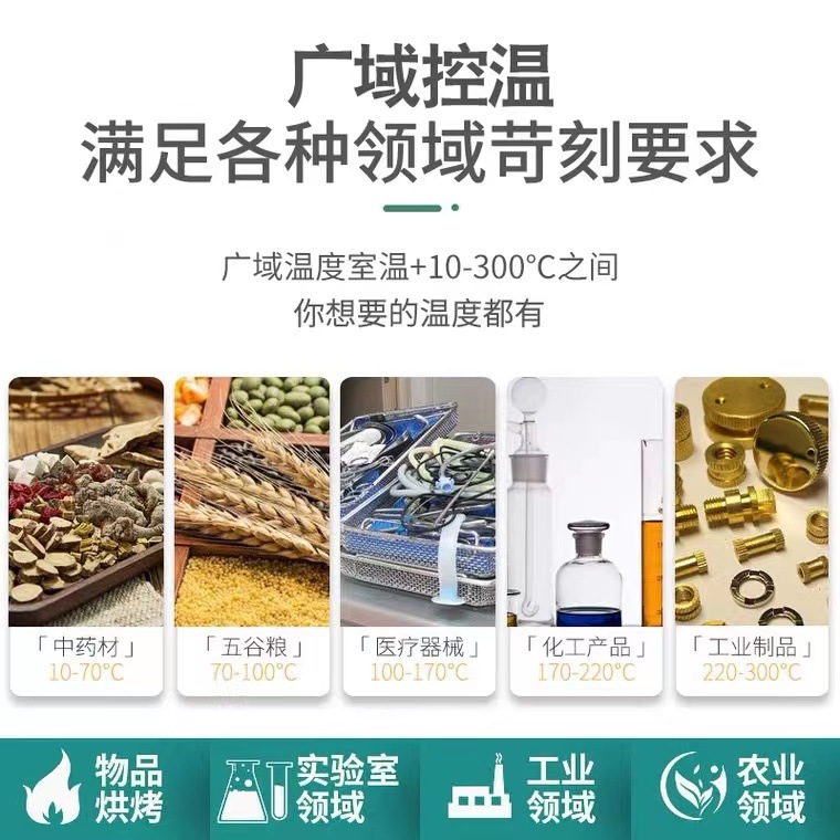 Electric Blast Drying Oven High Temperature Heating Small Industrial Oven Laboratory High Temperature Oven Constant Temperature Dryer