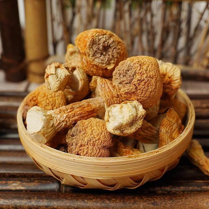 Agaricus blazei dried goods Yunnan specialty Tricholoma matsutake mushroom seasonal fresh mushroom mushroom soup stewed meat nutritious and delicious