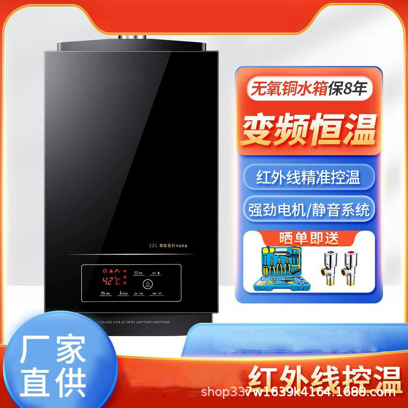 Smith Gas Water Heater for Home Use, Natural Gas, Constant Temperature, Forced Exhaust, First-Class Energy Efficiency, 16L Balanced Type