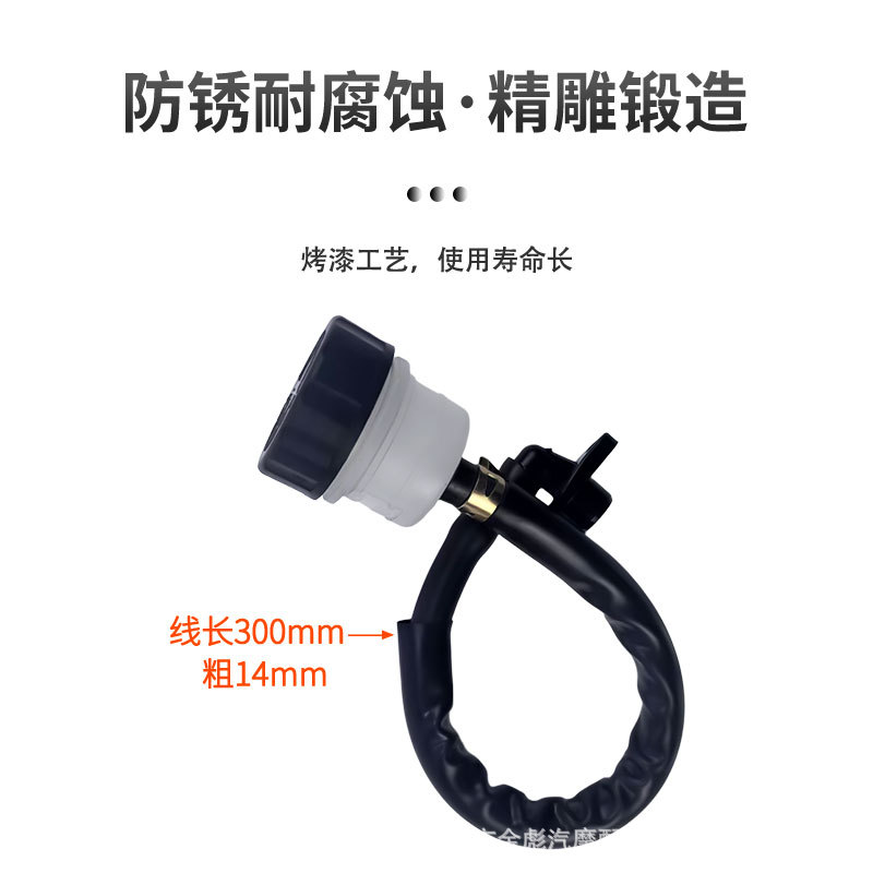 Off-Road Motorcycle Accessories Beach Atv Earth Eagle King Cqr Horizon One-Word Pump Disc Brake Pump Rear Brake Upper Pump