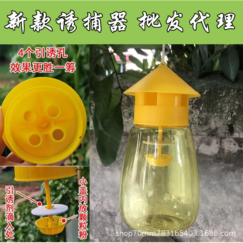 Устройство для ловли плодовых мух, игловидное, для ловли больших плодовых мух, оранжевых плодовых мух, цитрусовых, в дынном саду, оптовая продажа