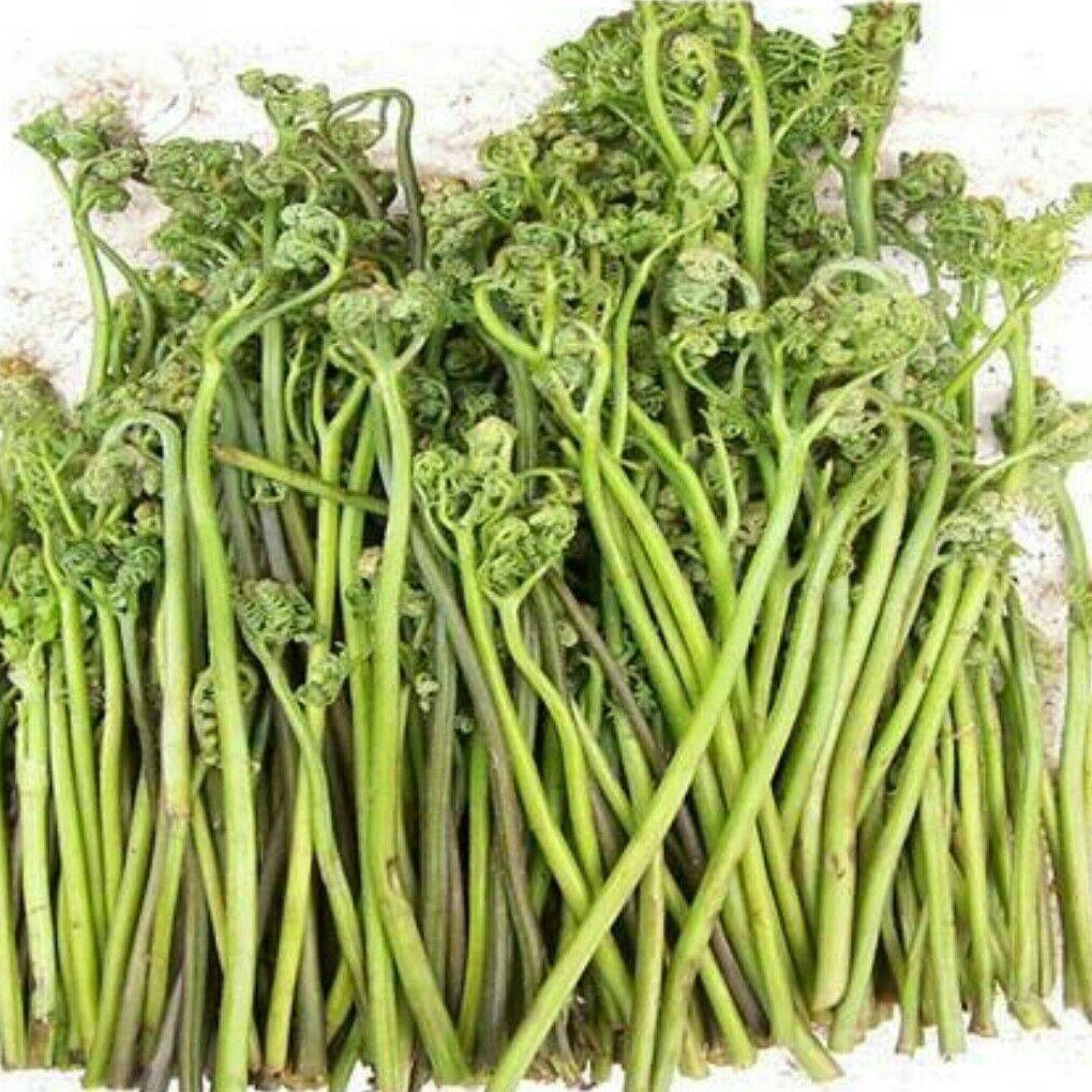 Ancient Sweet Tribute Vegetable, Boiled Tribute Vegetable 300g, Vegetarian Ingredients, Dried Moss, Ringing Vegetable, Mountain Jellyfish