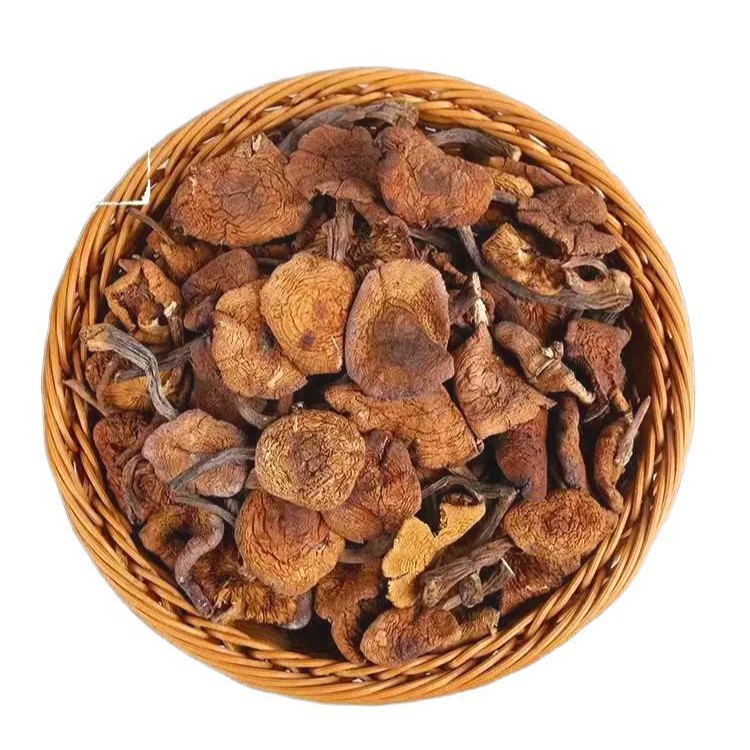 Hazel Mushroom Northeast Specialty Wholesale Dry Hazel Mushroom Chicken Stewed Mushroom Ingredients Gift Agricultural Products Hazel Mushroom Ding Native Specialty