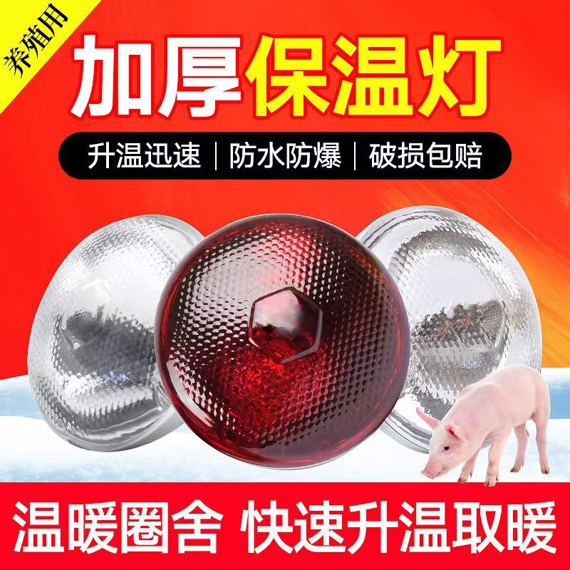 Insulation Lamp for Pigs, Special Chicken Heating Lamp for Farms, Veterinary Baking Lamp, Piglet Brooding Heating and Warm Light Bulb