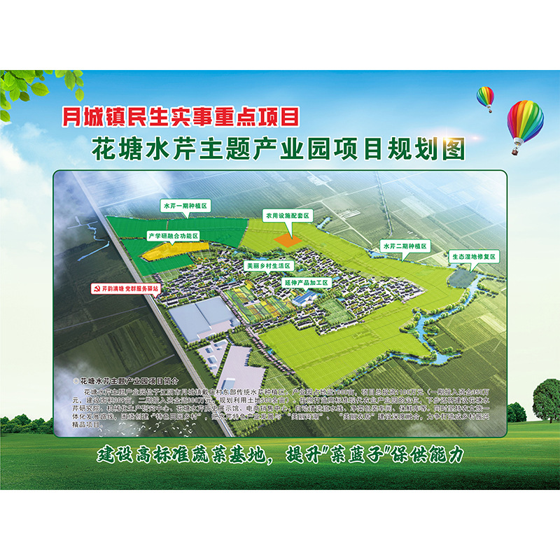 Jiangyin Specialty Huatang Water Celery, Fresh Seasonal Water Celery, Self-Grown Seasonal Vegetables, Freshly Picked Water Celery