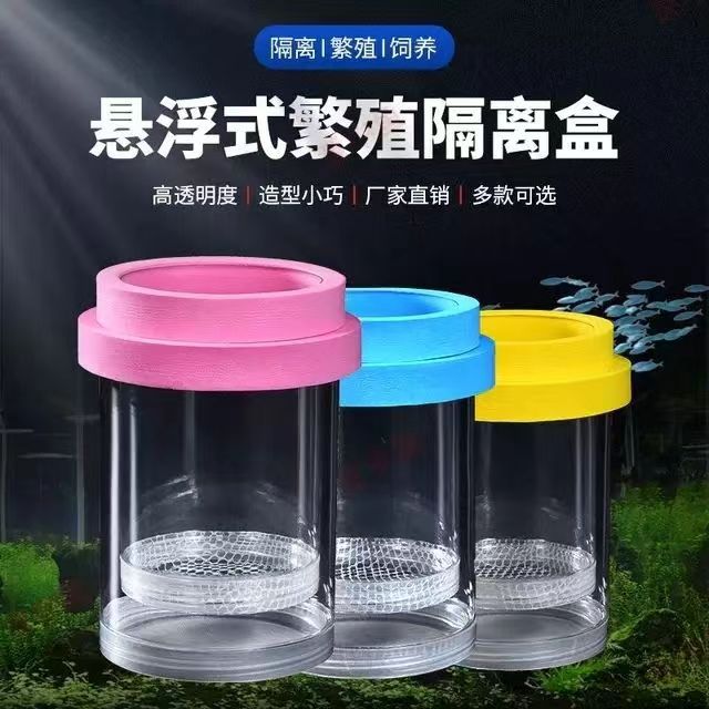 Main Shot Guppy Breeding Box Hatching Box Isolation Box Fish Tank Fry Isolation Female Fish Guppy Hatching Box