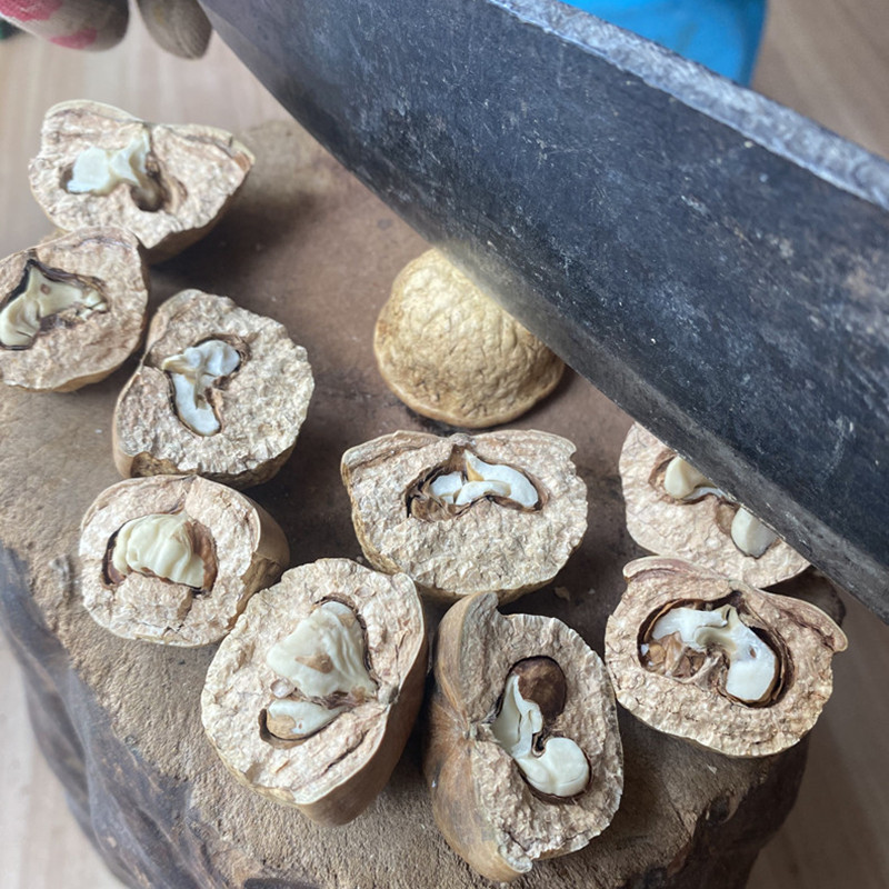 Wild Thick Genuine Guangxi 500g Freshly Picked Vine Fruit, Fresh Vine Fruit with Scales for Soaking in Wine