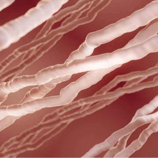 Коллаген типа I