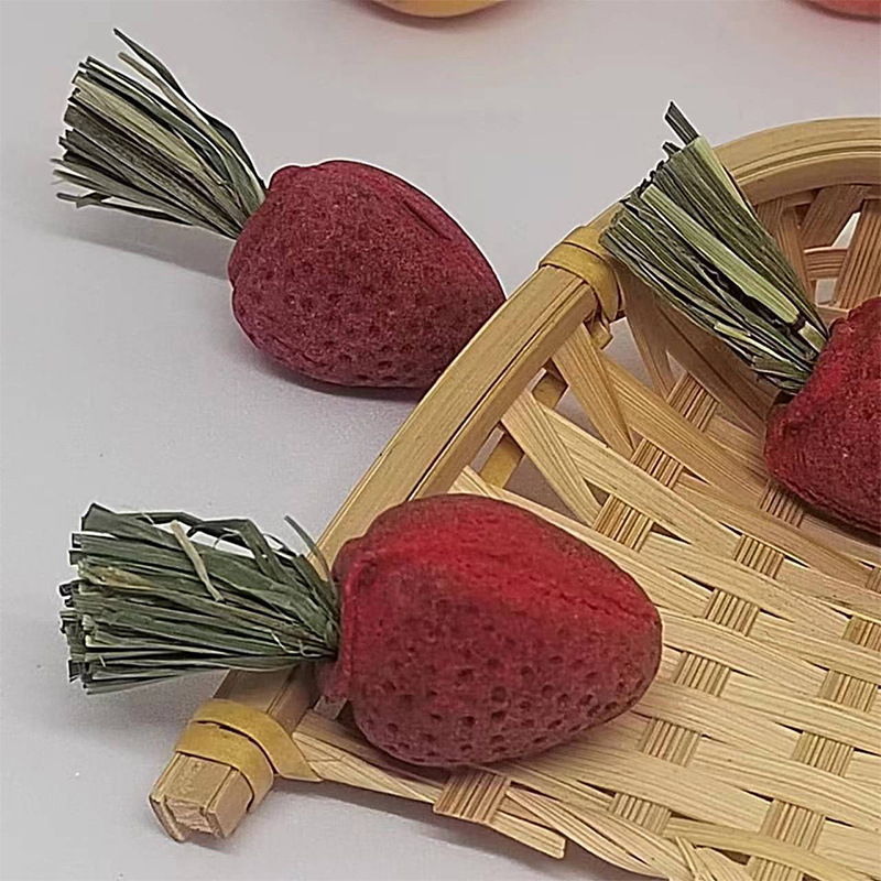 Strawberry Hamster Teething Snacks Totoro Rabbit Golden Bear Flower Branch Teething Interactive Landscaping Snacks 3 Pieces