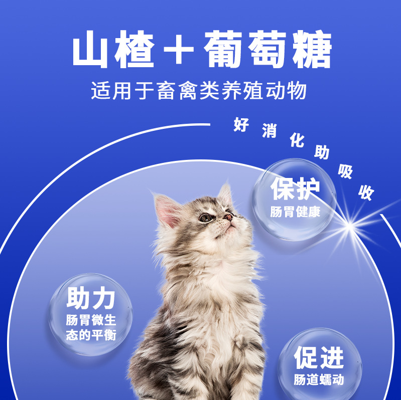 Nutritional Supplements for Dogs and Cats from Biaofei Baogou Farm, Wholesale and Distribution from the Factory