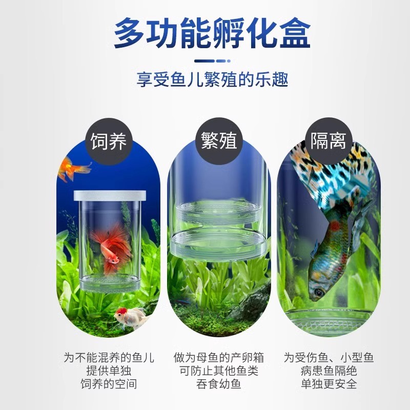Fish Tank Hatching Box Guppy Breeding Isolation Box Small Fish Egg Fry Zebrafish Fighting Fish Tank Supplies Spawning