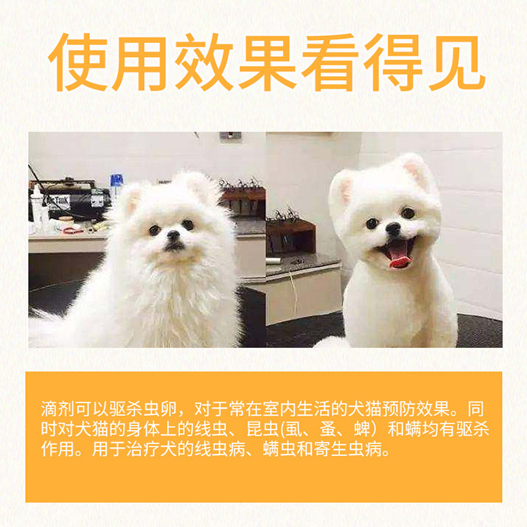 Pet Medicine, in Vitro Anthelmintic Drug, Dog Flea Removal, Cat Tick Removal, Lice Removal, Abamectin Drops