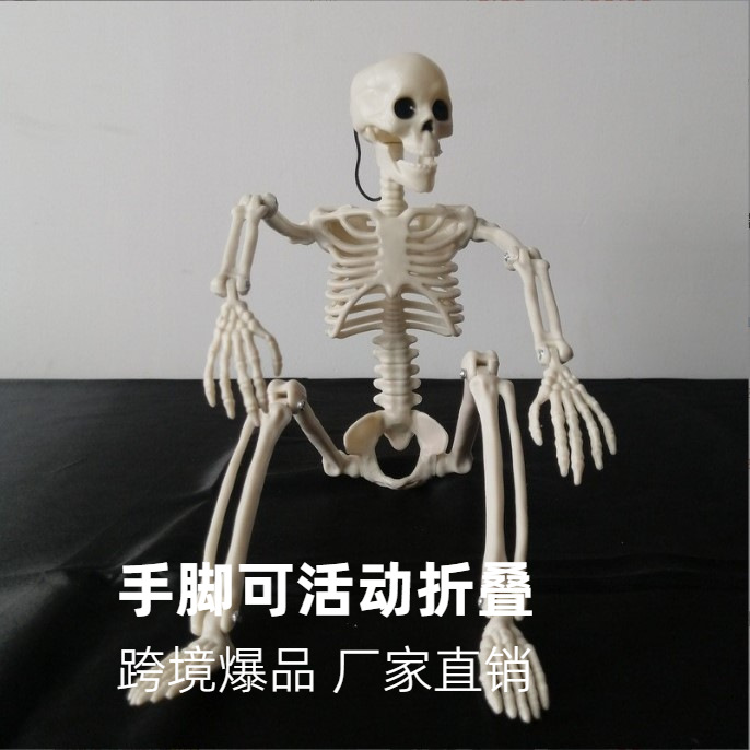 Cross-border generation hair skull joint adjustable Halloween horror ornaments pumpkin human skeleton 40 90cm skeleton