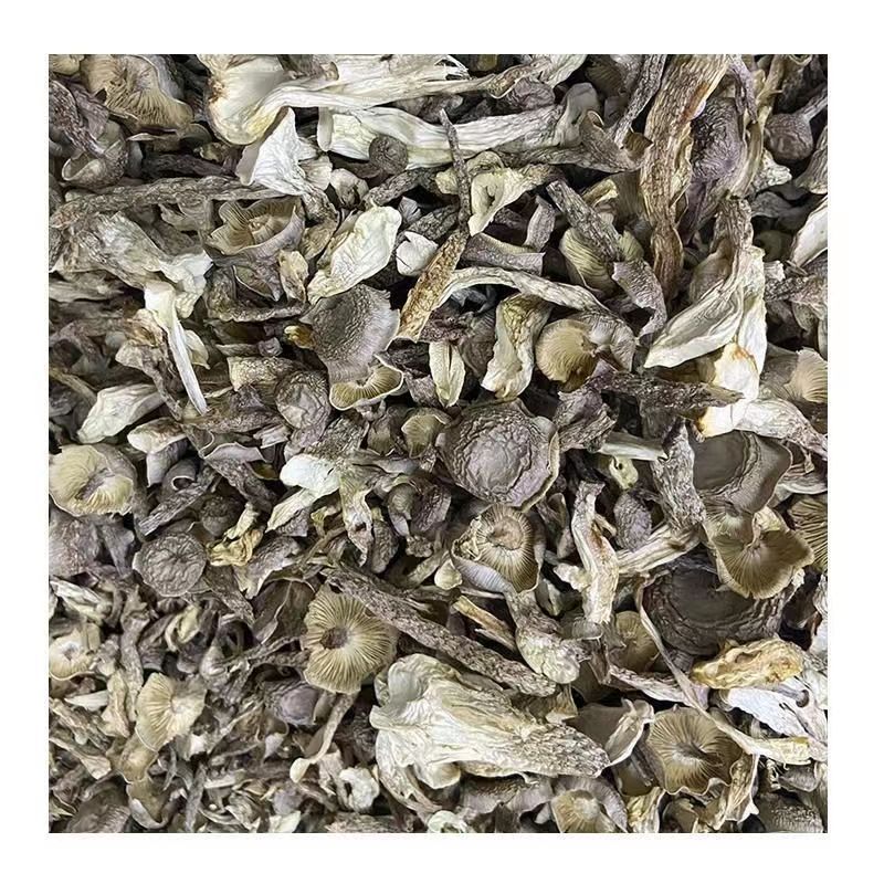 пилозный рогатый гриб сушеный без осушителя, нарезанный хрустящий гриб для пельменей, нарезанный пилозный рогатый гриб