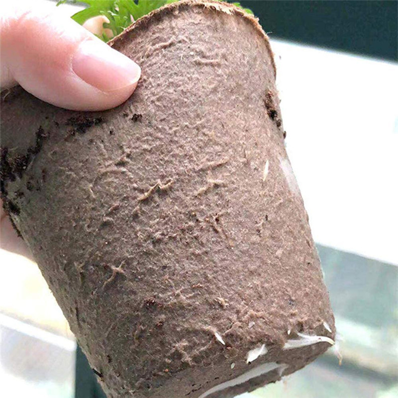Biodegradable Pulp Seedling Cups Amazon Garden Flower Cross-Border 12-Grid Plant Pots Manufacturer Seedling Trays Wholesale